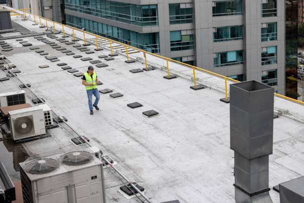 Best Roof Installation  in Elk Grove Vlage, IL