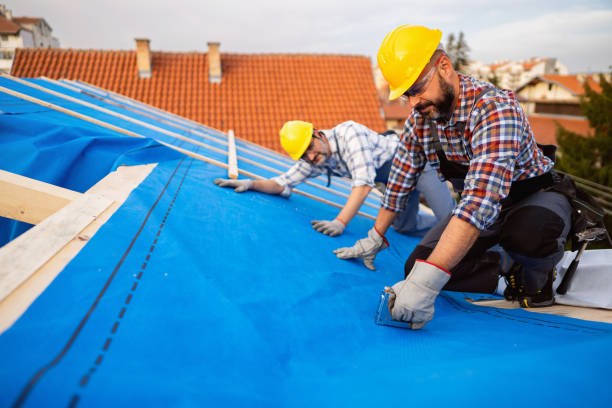 Steel Roofing in Elk Grove Village, IL