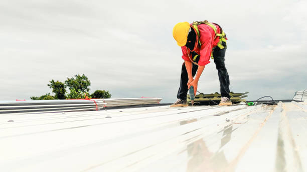 Asphalt Shingles Roofing in Elk Grove Village, IL